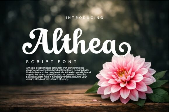 Althea: The Script Font Blending Timeless Elegance with Modern Flair