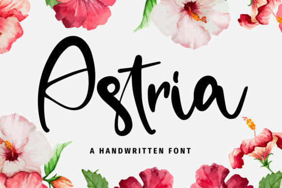 Astria: Where Modern Elegance Meets Fluid Design